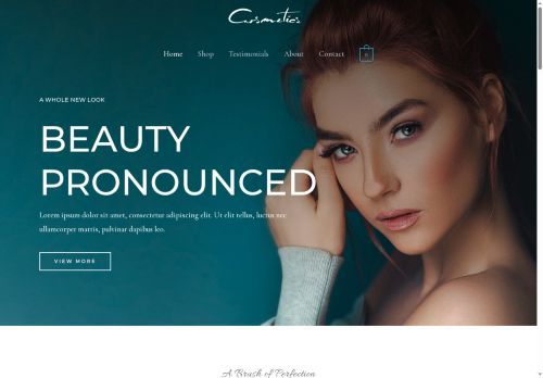 bongznstuff.com capture - 2025-08-29 00:28:33