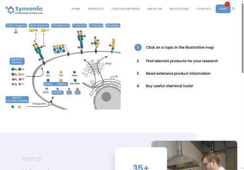 synvenio.com capture - 2025-08-29 01:51:28