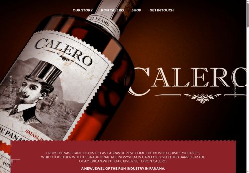 roncalero.com capture - 2025-08-29 04:36:26