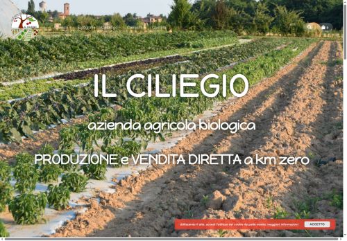 ciliegiorosso.com capture - 2025-08-29 07:28:42