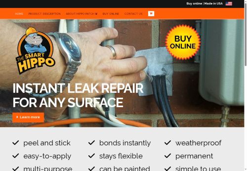 thesmarthippo.com capture - 2025-08-29 09:24:42