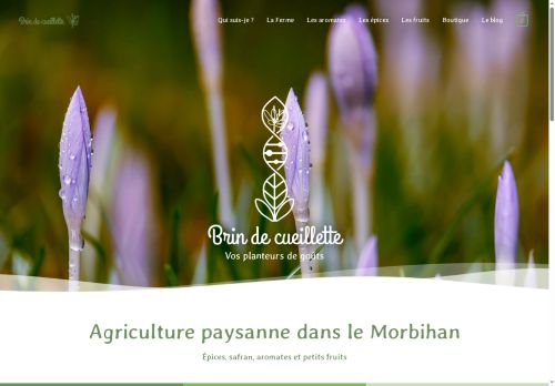 brindecueillette.com capture - 2025-08-29 13:25:09