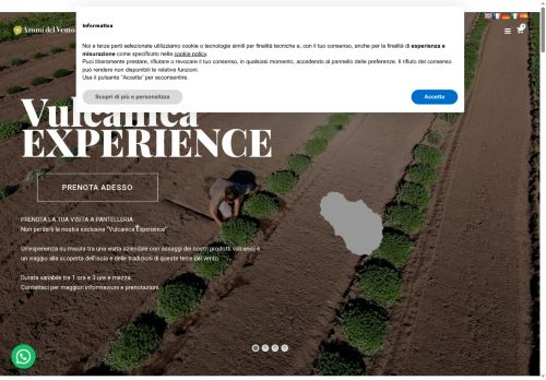 aromidipantelleria.com capture - 2025-08-29 13:55:12