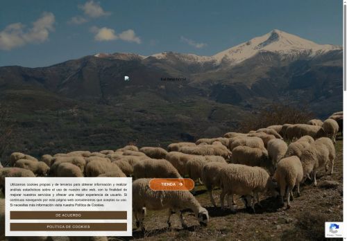 carniceriabaldana.com capture - 2025-08-29 15:11:15