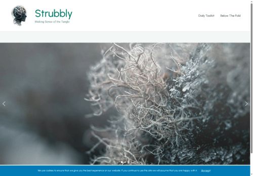 strubbly.com capture - 2025-08-29 17:43:26