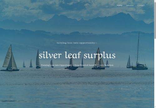 silverleafsurplus.com capture - 2025-08-29 20:33:44