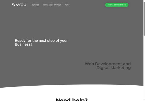 ayouco.com capture - 2025-08-29 22:20:08