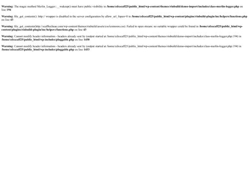 scafftechuae.com capture - 2025-08-29 22:56:20