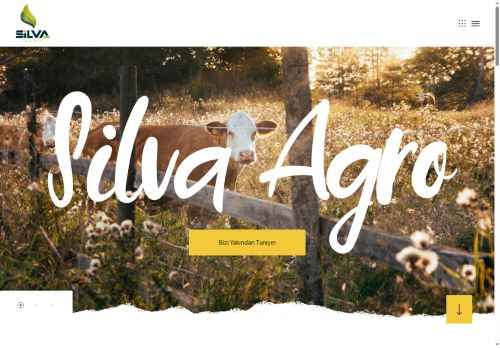 silvaagro.com capture - 2025-08-30 02:51:23
