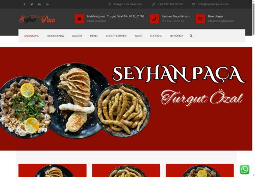 seyhanpaca.com capture - 2025-08-30 06:24:09
