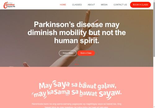 sayawpd.com capture - 2025-08-30 11:48:51