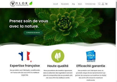 ylor-store.com capture - 2025-08-30 14:22:16