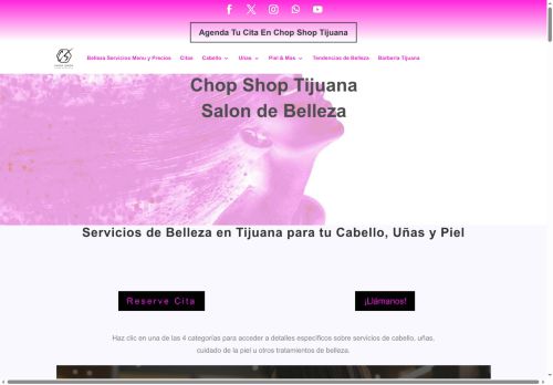 chopshoptijuana.com capture - 2025-08-30 15:41:02