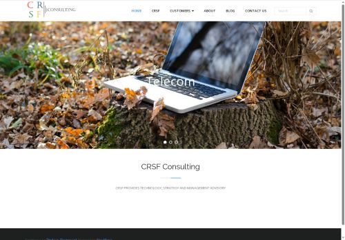 crsfconsulting.com capture - 2025-08-30 16:06:49