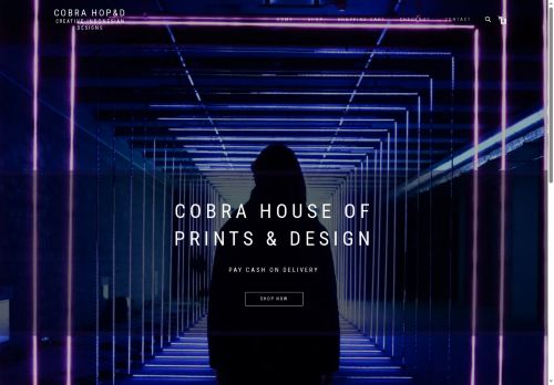 cobrahouseofdesign.com capture - 2025-08-30 19:05:20