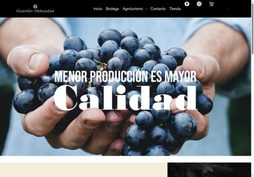 vinoguzmanaldazabal.com capture - 2025-08-30 22:07:37