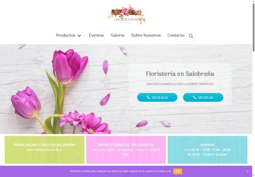 floristeriageranios.com capture - 2025-08-31 00:23:52