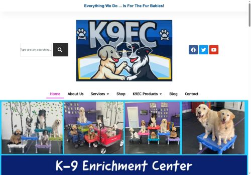 k9ec.com capture - 2025-08-31 01:48:19