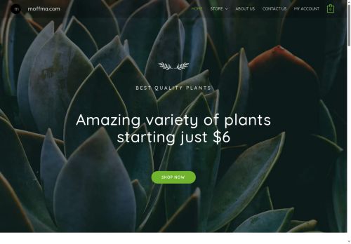 moffma.com capture - 2025-09-01 15:46:11