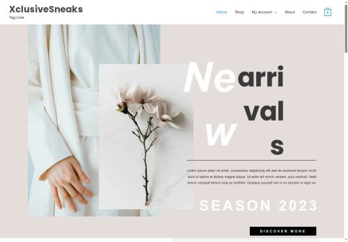 xclusivesneaks.com capture - 2025-09-01 17:00:54