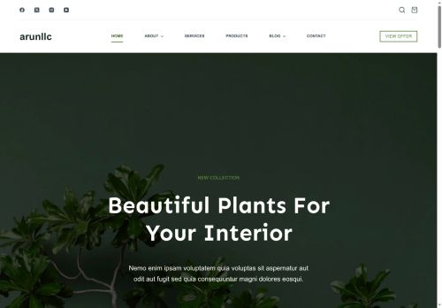 arunllc capture - 2025-09-11 11:25:14