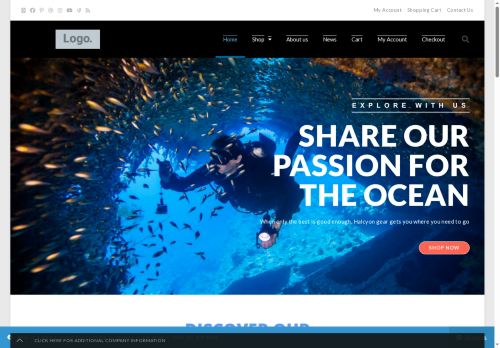 halcyon-shop.com capture - 2025-09-11 12:32:43