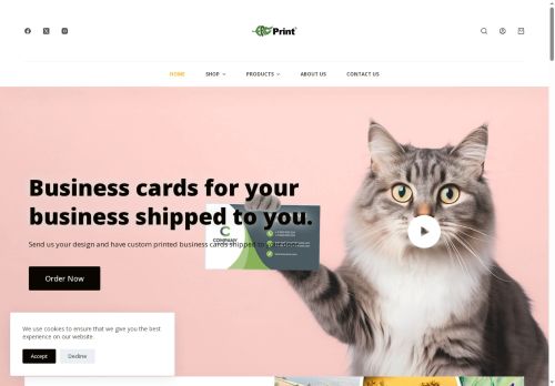 ergprint.com capture - 2025-09-11 13:24:46