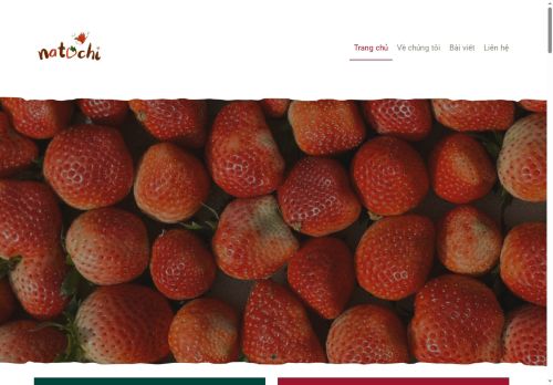 natochi.com capture - 2025-09-11 14:22:24