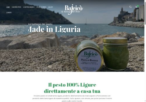 bajeico.com capture - 2025-09-11 16:52:47