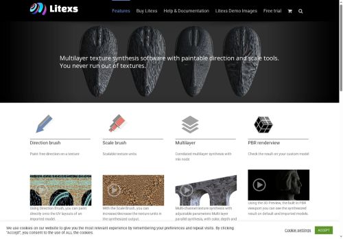 litexs.com capture - 2025-09-11 20:30:30