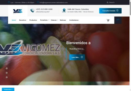 vigomezcomercializadorasas.com capture - 2025-09-12 01:11:34