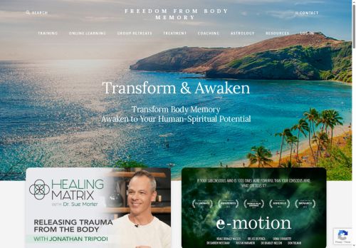 bodymemorytransformation.com capture - 2025-09-12 21:25:57