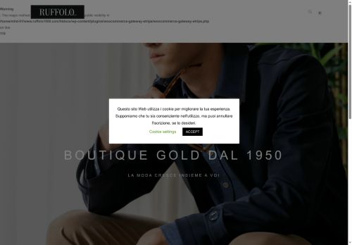 ruffolo1950.com capture - 2025-09-13 00:40:04