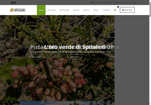 pistacchioverde.com capture - 2025-09-13 05:41:13
