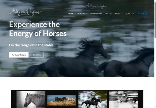 allysonhughes.com capture - 2025-09-13 06:51:08