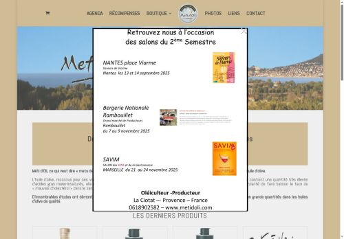 metidoli.com capture - 2025-09-13 15:15:42