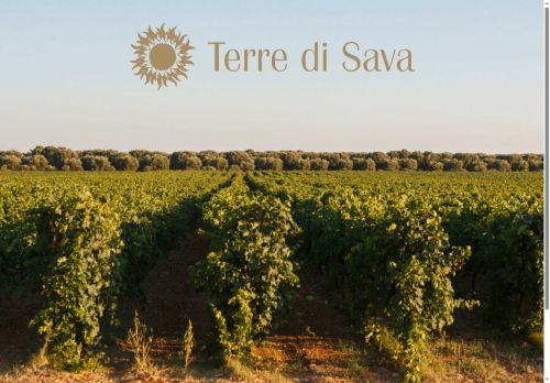 terredisava.com capture - 2025-09-13 17:57:40