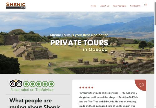 shenictoursoaxaca.com capture - 2025-09-13 18:42:04