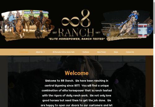 88performancehorses.com capture - 2025-09-13 22:02:03