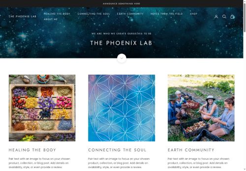 thephoenixlab.com capture - 2025-09-14 00:53:25