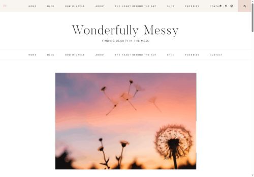 wonderfullymessy.com capture - 2025-09-14 01:44:39