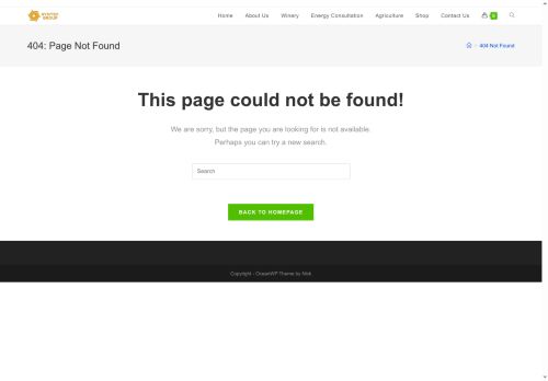 syntecgroupe.com capture - 2025-09-14 22:51:55