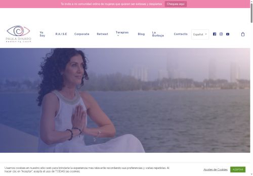 pauladinaro.com capture - 2025-09-14 23:55:48