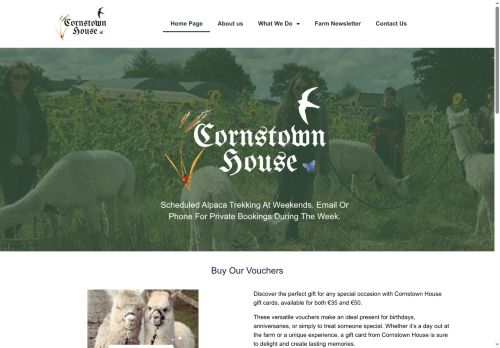 cornstownhouse.com capture - 2025-09-15 03:03:12