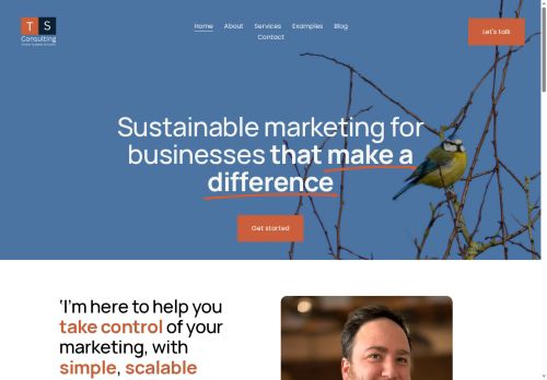 tsmarketer.com capture - 2025-09-22 13:06:02