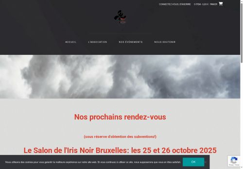 irisnoirbxl.com capture - 2025-09-22 14:09:30