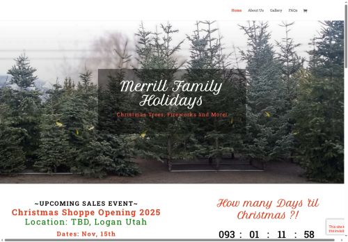 merrillfamilyholidays.com capture - 2025-09-22 23:10:25