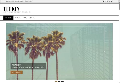 thekeytoprostatecancer.com capture - 2025-09-23 01:24:49