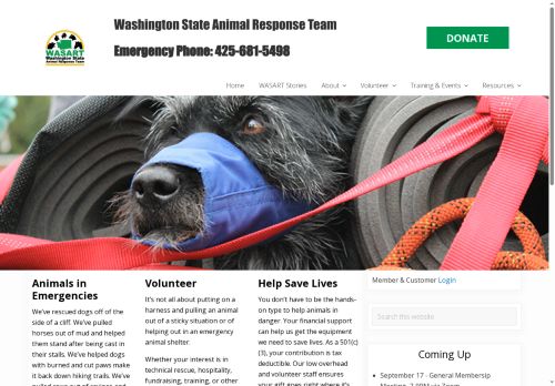 washingtonsart.com capture - 2025-09-23 01:45:19