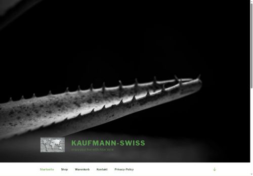 kaufmann-swiss.com capture - 2025-09-23 05:29:37